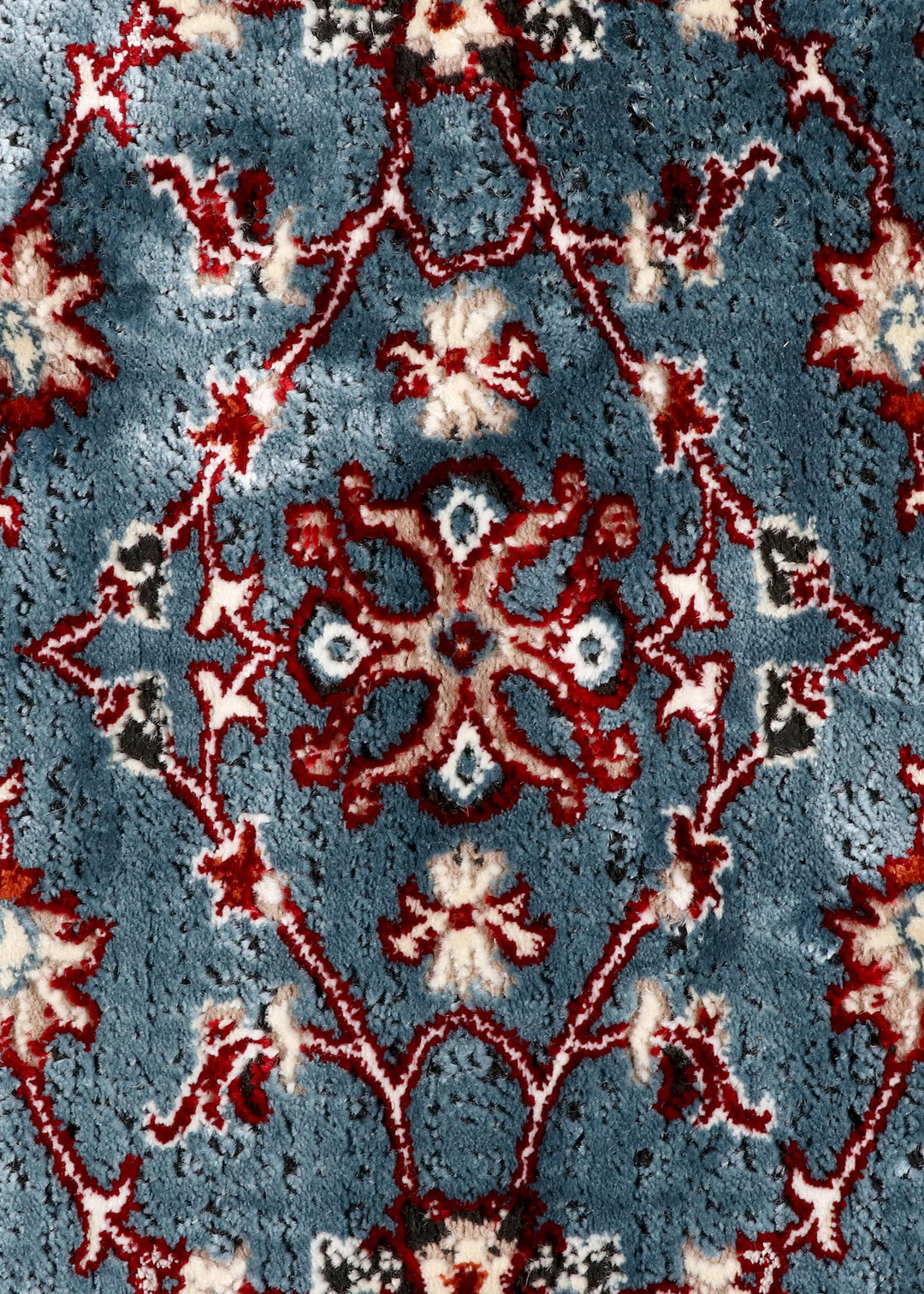 Traditional Blue and Red Floral Area Rug