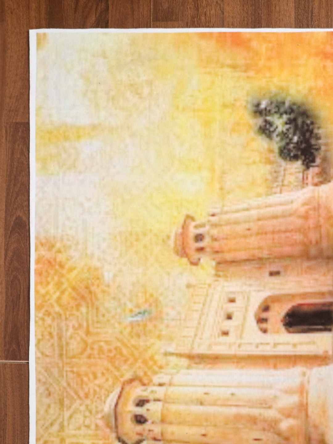ایس این 81